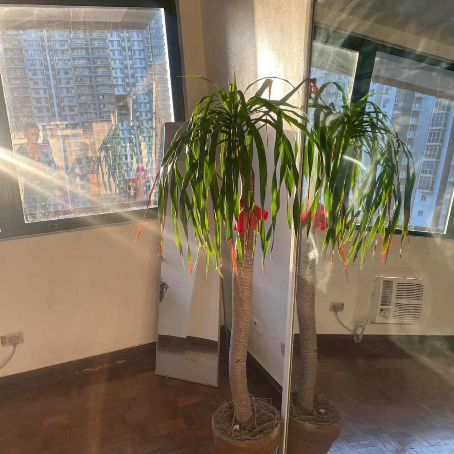 Studio Rental- 2 Hours